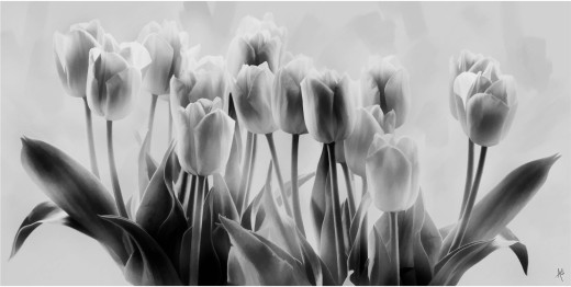 793754 (a): :3000x1507